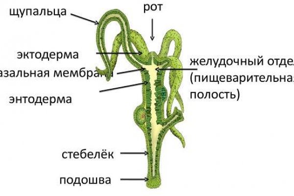 Кракен лучший маркетплейс