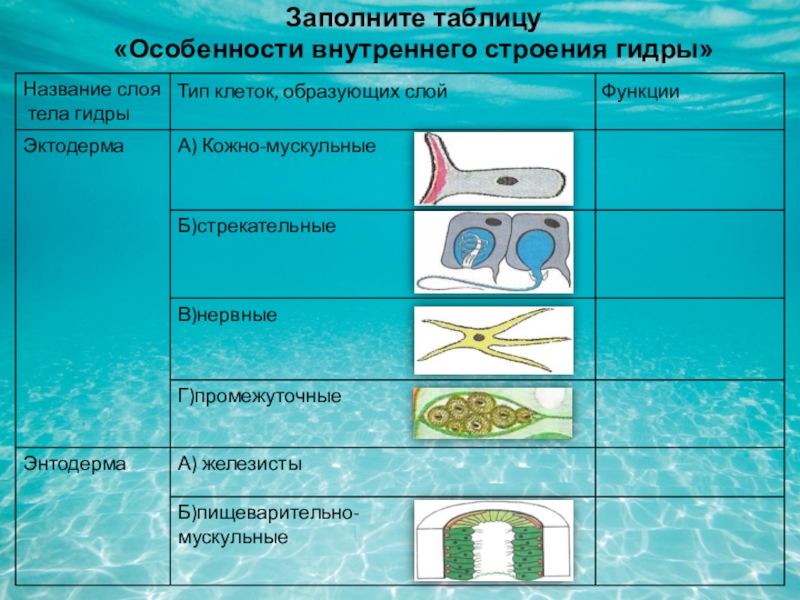 Кракен маркет тор